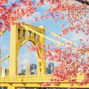 Meet your Posher, Darlene